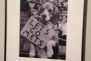 Illustration for article titled No More Bulldog Mascots